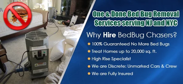 Get Rid of Bed Bugs Westchester County , Bed Bug Spray Westchester County , What to do Bed Bugs look like Westchester County , Kill Bed Bugs Westchester County , Bed Bug Treatment Westchester County , Bed Bug Dog Westchester County , How to get Rid of Bed Bugs Westchester County , Bed Bug Heat Treatment Westchester County , Bed Bug Eggs Westchester County , Bed Bug Exterminator Westchester County , Get Rid of Bed Bugs Westchester NY , Bed Bug Spray Westchester NY , What to do Bed Bugs look like Westchester NY , Kill Bed Bugs Westchester NY , Bed Bug Treatment Westchester NY , Bed Bug Dog Westchester NY , How to get Rid of Bed Bugs Westchester NY , Bed Bug Heat Treatment Westchester NY , Bed Bug Eggs Westchester NY , Bed Bug Exterminator Westchester NY