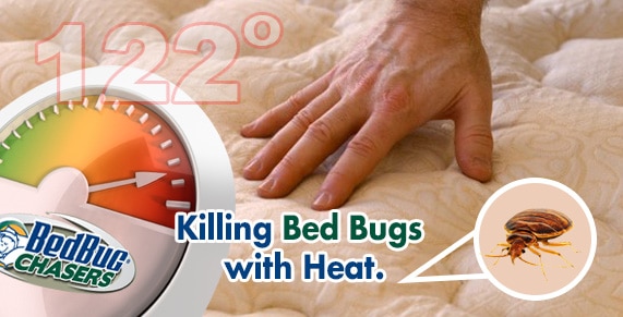 Automobile Bed Bug Treatment , Car Bed Bug Treatment , Truck Bed Bug Treatment , Get Rid of Bed Bugs Car , Get Rid of Bed Bugs Truck , Get Rid of Bed Bugs Tractor Trailer , Bed Bug Spray Westchester County , What to do Bed Bugs look like Westchester County , Kill Bed Bugs Westchester County , Bed Bug Spray Westchester NY , What to do Bed Bugs look like Westchester NY , Kill Bed Bugs Westchester NY