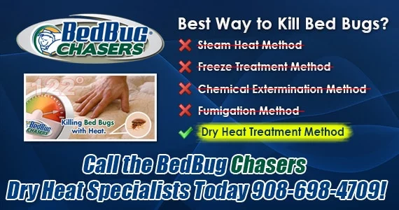 Bed Bug heat treatment Ardsley NY, Bed Bug images Ardsley NY, Bed Bug exterminator Ardsley NY