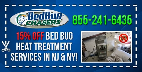 Bed Bug pictures Shrub Oak NY, Bed Bug treatment Shrub Oak NY, Bed Bug heat Shrub Oak NY